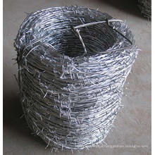 Hot-Dipped Galvanized Iron Barbed Wire in Best Price